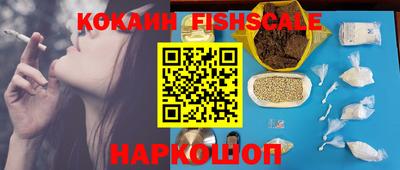 крисы Гудермес