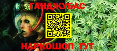 крисы Гудермес