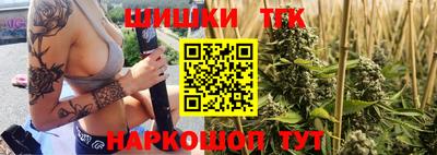 крисы Гудермес