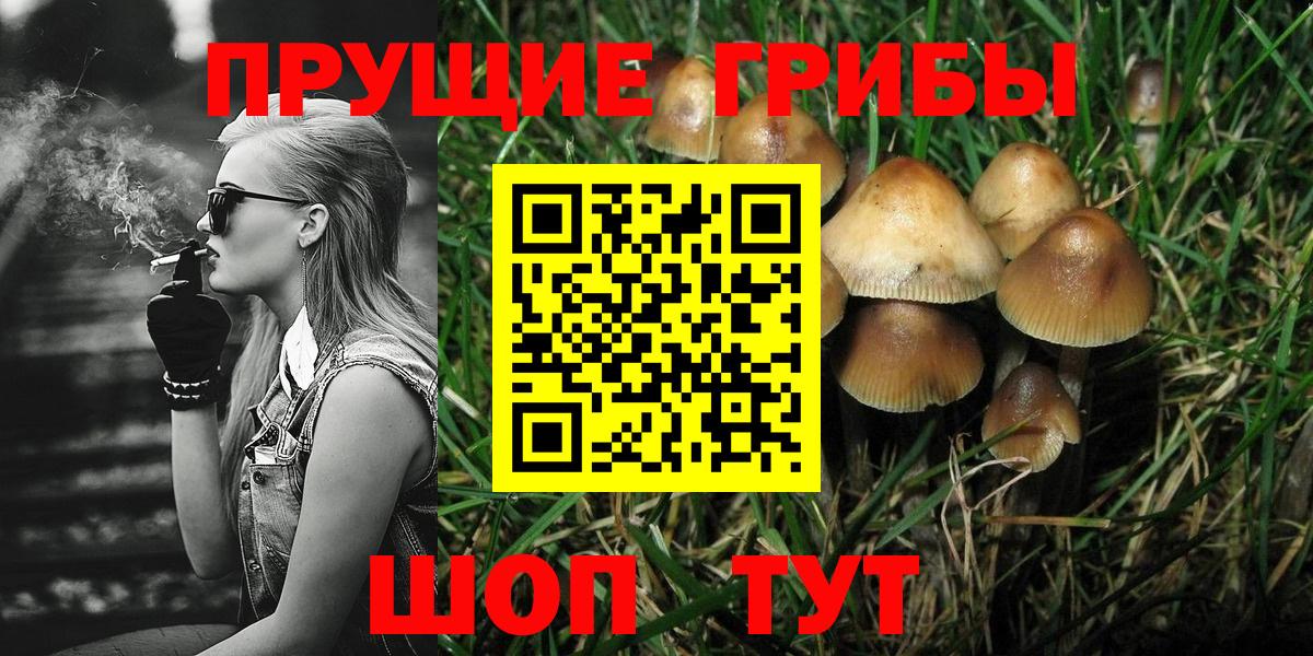 Галлюциногенные грибы мухоморы Верхняя Пышма