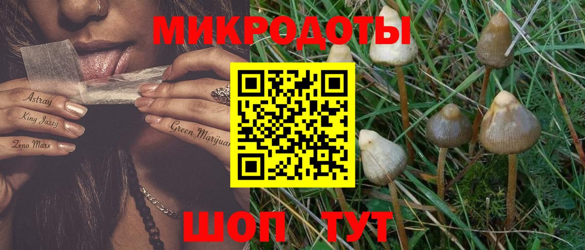 Псилоцибиновые грибы ЛСД  Галлюциногенные грибы Psilocybe  Верхняя Пышма  Вход с VPN 